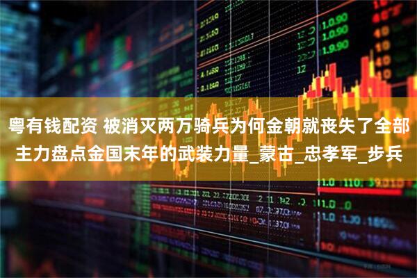 粤有钱配资 被消灭两万骑兵为何金朝就丧失了全部主力盘点金国末年的武装力量_蒙古_忠孝军_步兵