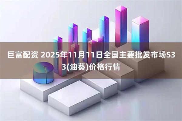 巨富配资 2025年11月11日全国主要批发市场S33(油葵)价格行情