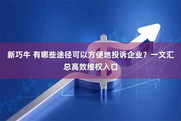 新巧牛 有哪些途径可以方便地投诉企业？一文汇总高效维权入口